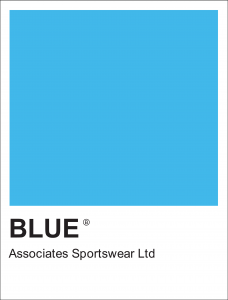Blue Associates Sportswear Logo